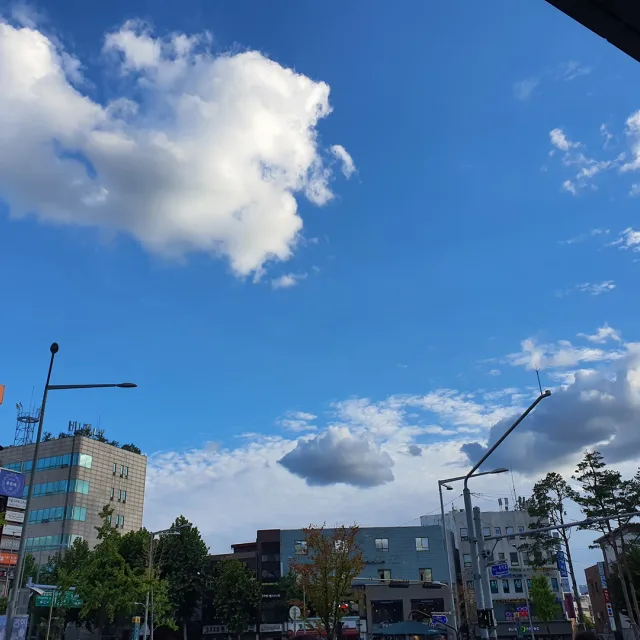 새내기댁