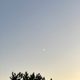 김두한