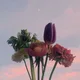 와바밍