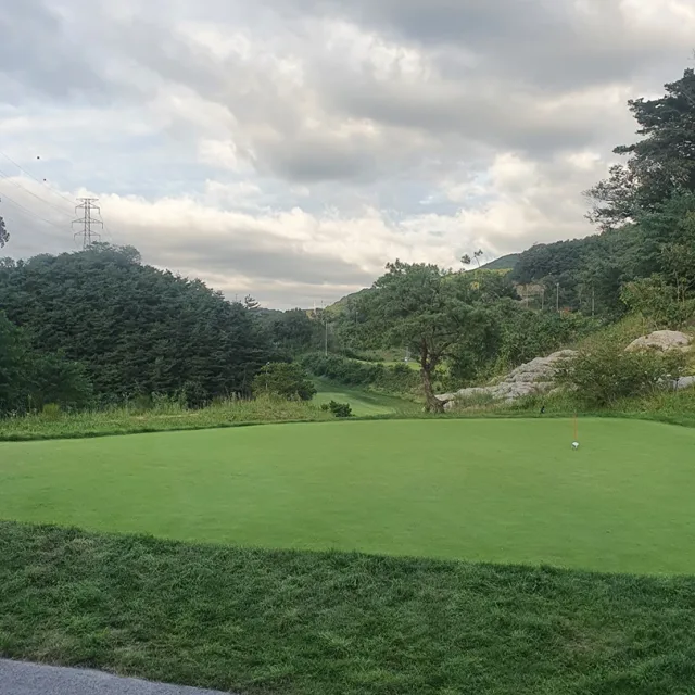 마이노