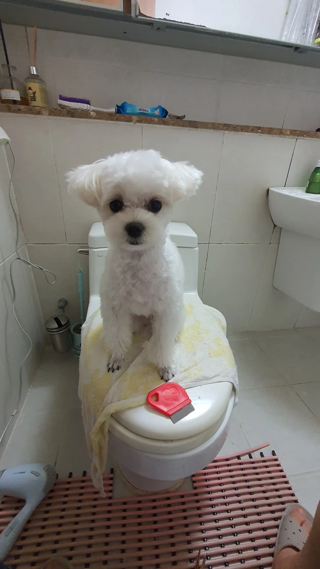 숲과화원