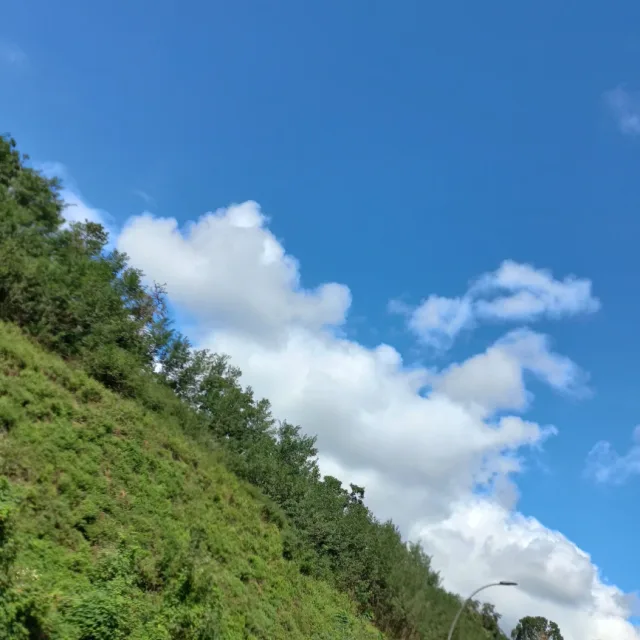 하늘하늘