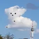 호박