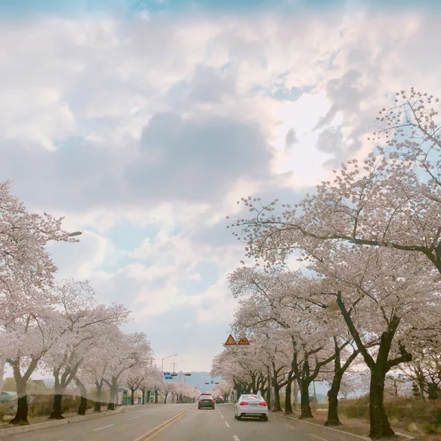 빵순이