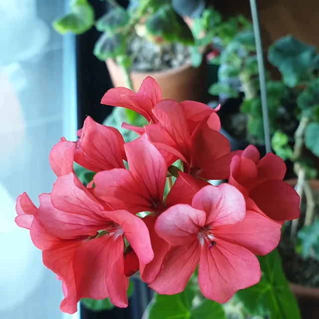 건강하자