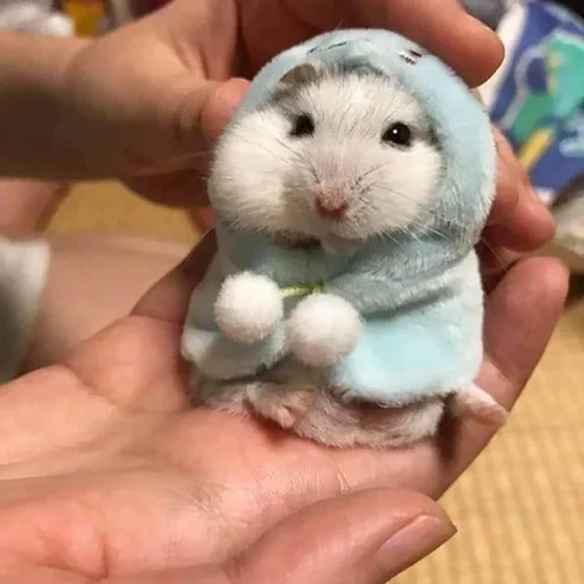 몰랑