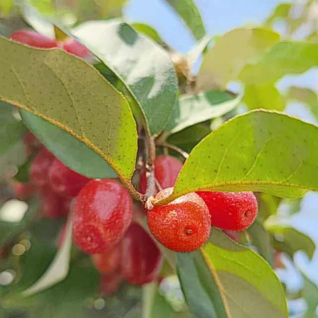 산너머