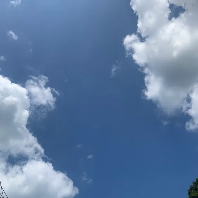 해피