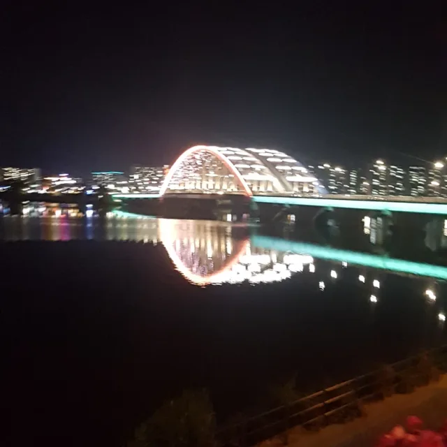 쫑이
