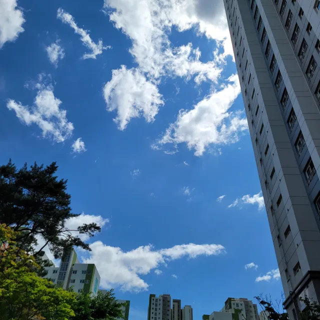 예몽정리대장