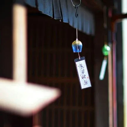 보라돌