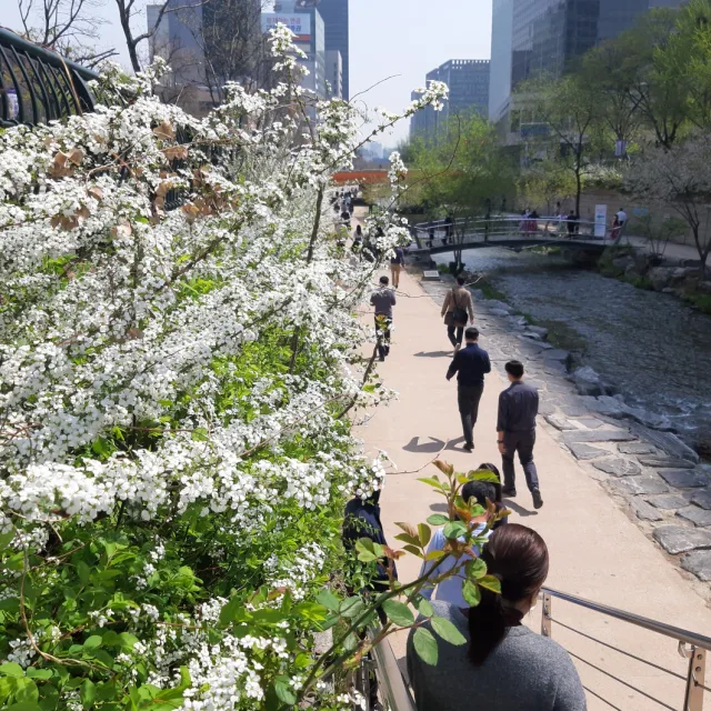 오윤