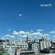 나무님