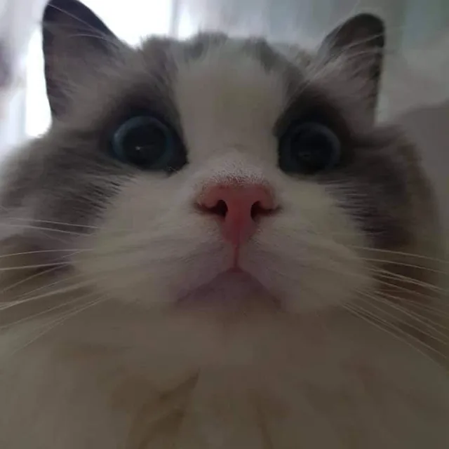 흐어엉