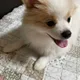 뚱이