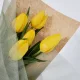 보라색하트민들레