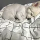 오잉