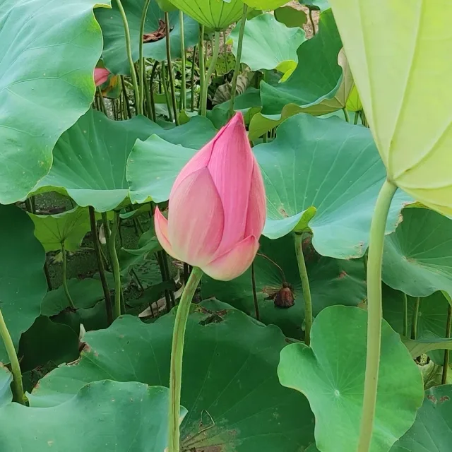 하루하루감사