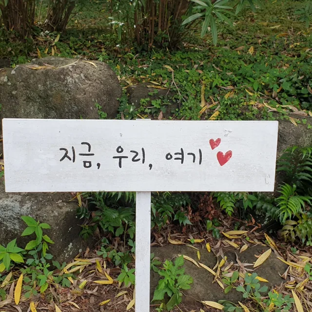 치뭉치뭉