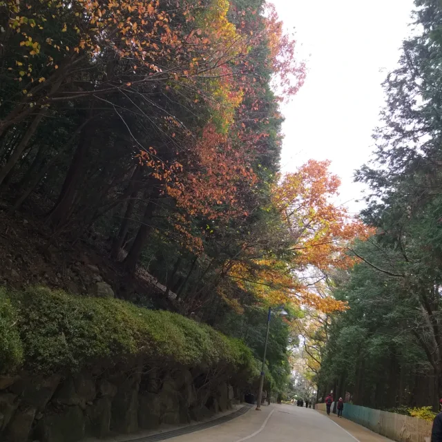 굿럭투데이