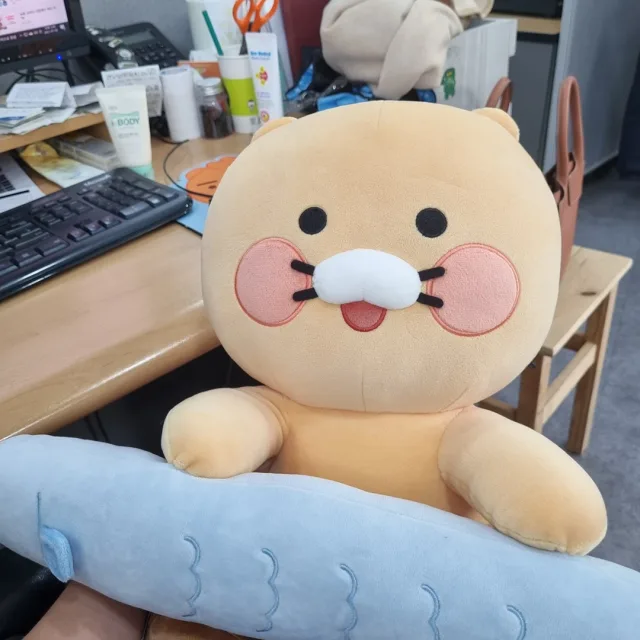 귤까먹는고양이