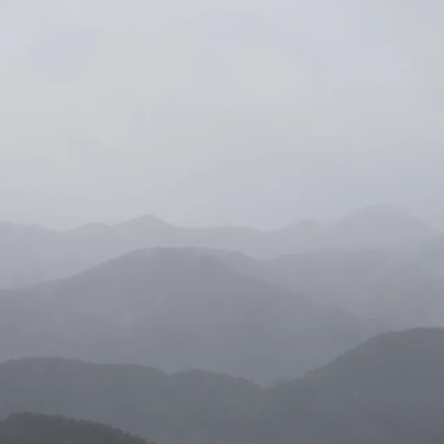 행복한나날들