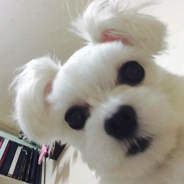 닝닝사랑해