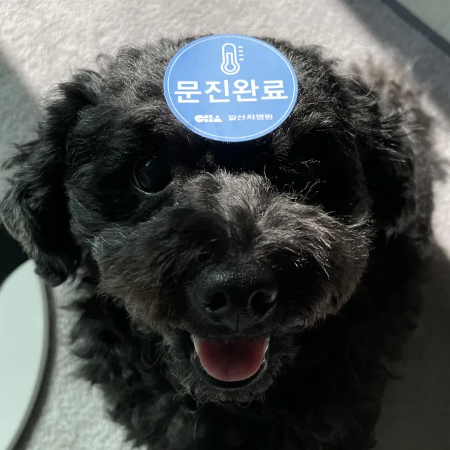 주엽역쿨거래