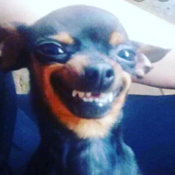 골드