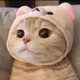 송정왕자