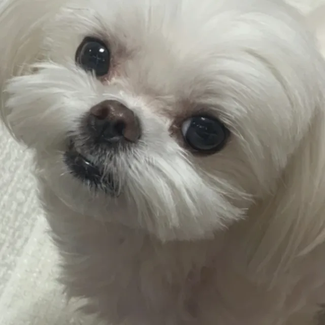 시티