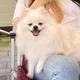 어른아이