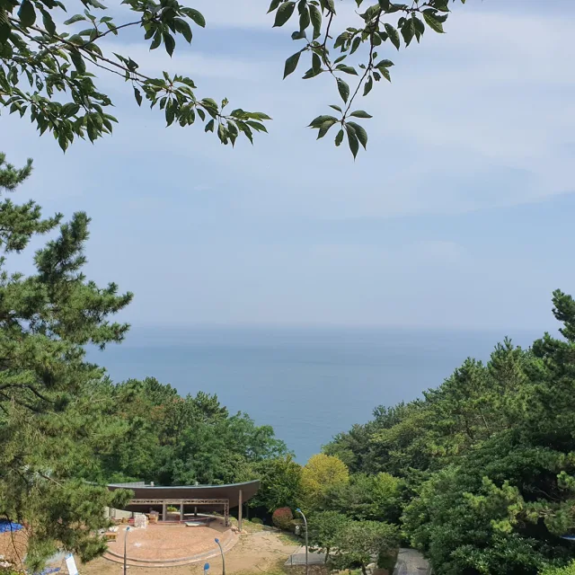 가어꾸