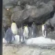 행복만땅