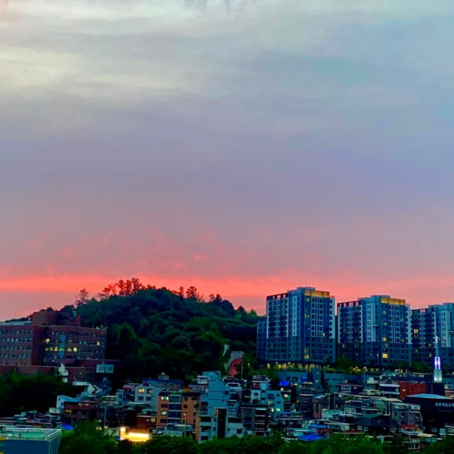 오호호