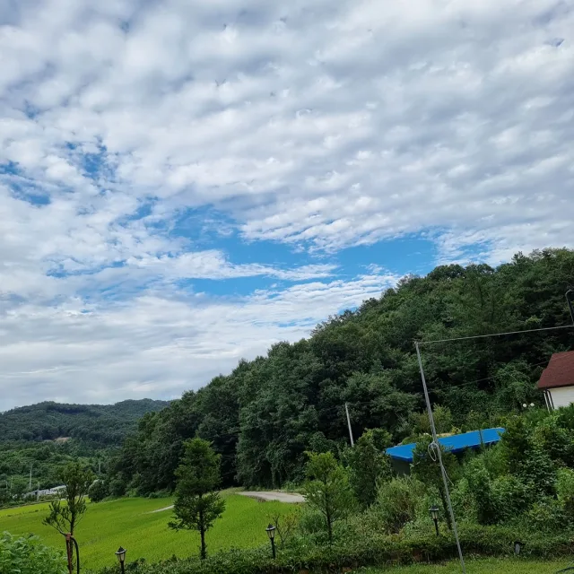 노랑