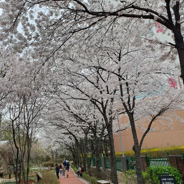 이스타나
