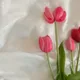 공주