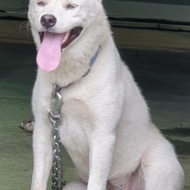 독인