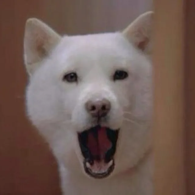 얼음
