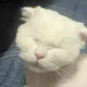 기리기루