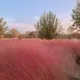 끼룸