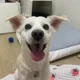 또리누나