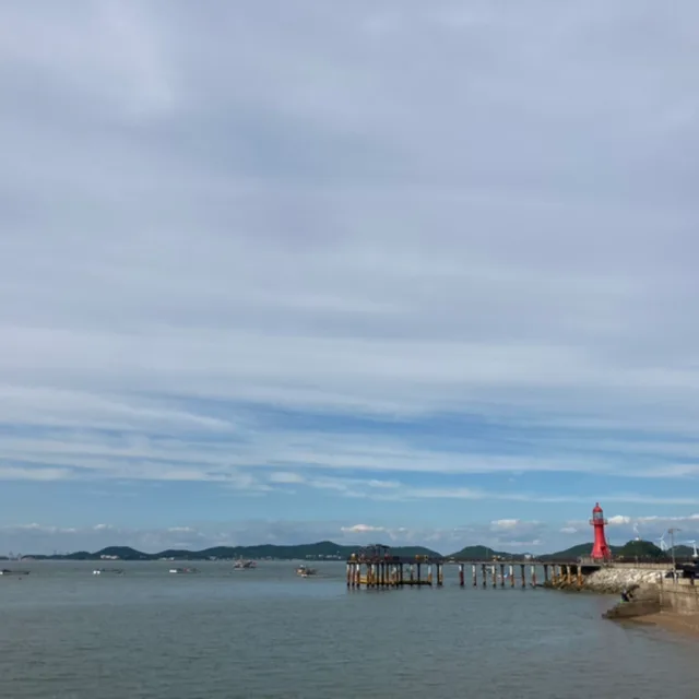 파파야야