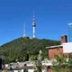 구구구