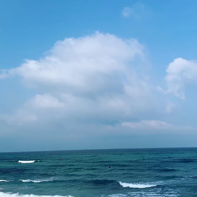 제이김
