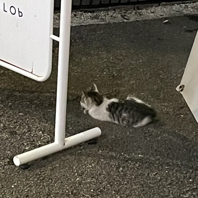 이리오라냥