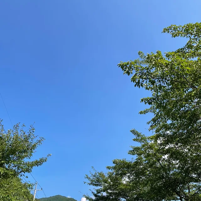 뚜뚜야