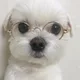 쥐먼