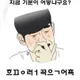 보뽀매니아